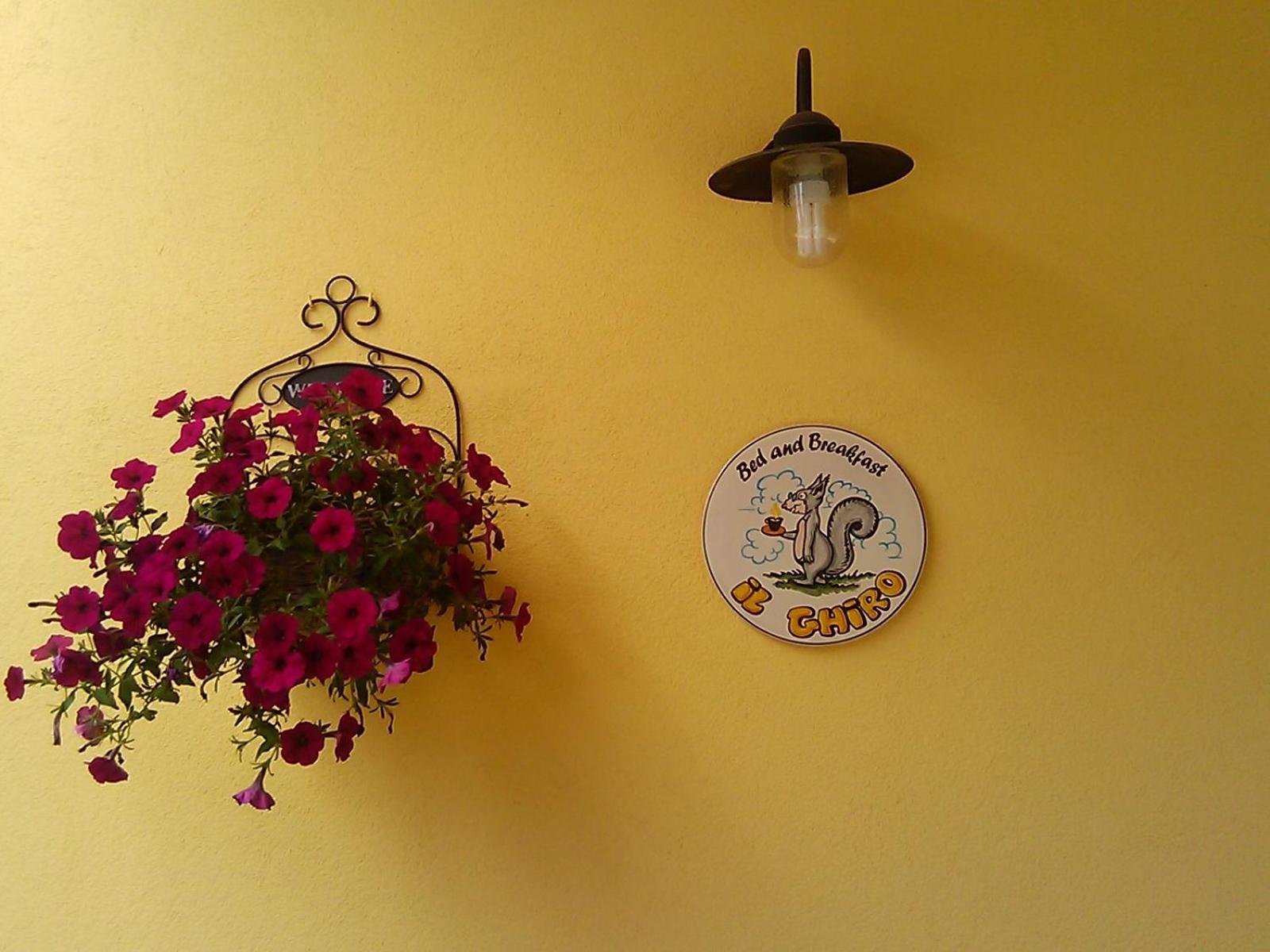 B&B Il Ghiro-Country House 莫尔曼诺 外观 照片