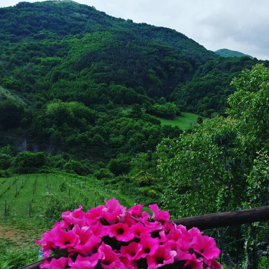 B&B Il Ghiro-Country House 莫尔曼诺 客房 照片