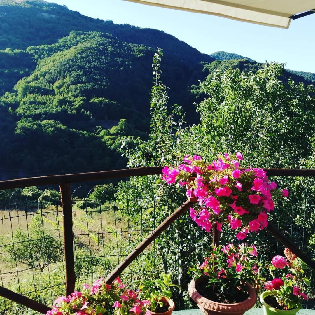 B&B Il Ghiro-Country House 莫尔曼诺 客房 照片