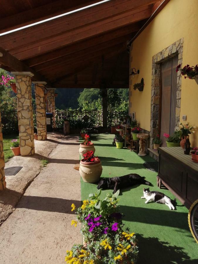 B&B Il Ghiro-Country House 莫尔曼诺 外观 照片